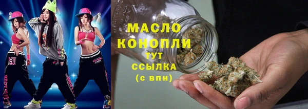 молекула духа Надым