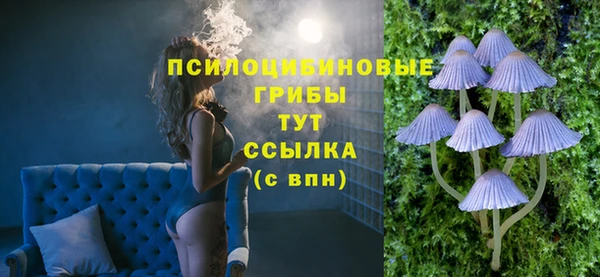 PSILOCYBIN Аркадак