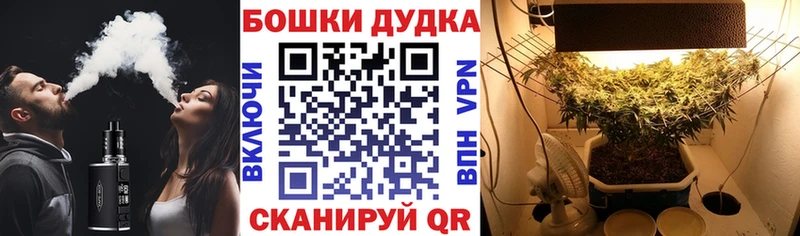 Конопля гибрид Бакал